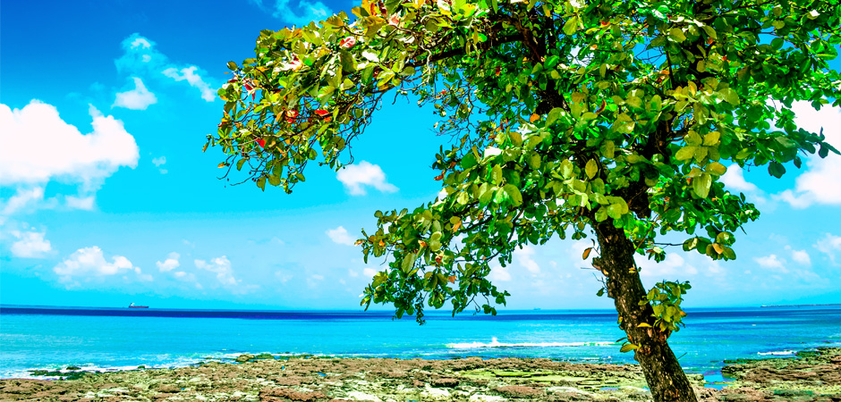 Veduta del mare a Fortaleza