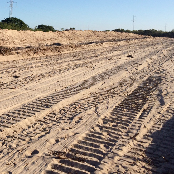 Preparazione del terreno